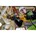 DEWALT DCS389X2-QW Accu Reciprozaag 54V XR FLEXVOLT - Inclusief 2x 9.0Ah Accu, Lader en Koffer