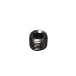 Legris - plug met binnenzeskant - 1/8" - BSPT - 0206 10 00