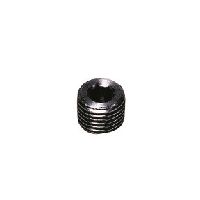Legris - plug met binnenzeskant - 1/8" - BSPT - 0206 10 00