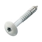 Hoenderdaal zuiver witte hpl schroef - RVS-A2 - TX-20 - 4.8x38mm
