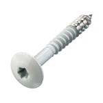 Hoenderdaal zuiver witte hpl schroef - RVS-A2 - TX-20 - 4.8x38mm