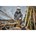 DEWALT DCM565P1-QW Compacte Accu Kettingzaag 30cm 18V XR - Inclusief 1x 5.0Ah Accu en Lader