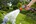 Gardena Classic sproeibroes - soft spray - 18311-20