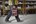 Milwaukee PACKOUT compact organiser 4932464083