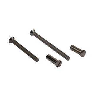 AMI Patentbout compleet M4X45 (10st.)