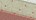 Gebr. Bodegraven isolatie-Uniclip (1000x) - 60/65 mm - rood