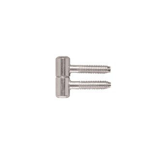 AXA inboorpaumelle 11 mm [2x] - 116711220TE - gegalvaniseerd