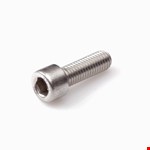 Hoenderdaal binnenzeskantbout [100x] - RVS-A2 - IB-8 - M10x40mm