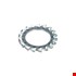 Hoenderdaal tandveerring [250x] - VZ - M3 3.2x6.0x0.4mm