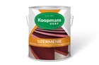 Koopmans IJzermenie