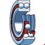 SKF Groefkogellager Tweerijig 4309 Atn9