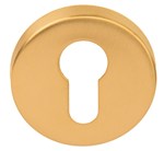 Formani LBY50D BASICS cilinderplaatje pvd mat goud