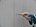 Gebr. Bodegraven UNI-slagspouwanker - 190x4mm - verzinkt 36482.B050+barcode