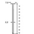 Dutack T-nagels TN22 50 mm [1.000] CSt