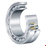 INA Cilinderlager Sl045010-Pp Ina