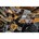 DEWALT DCG418X2-QW Accu Haakse slijper 125mm 54V XR FLEXVOLT - Inclusief 2x 9.0Ah Accu, Lader en Koffer 