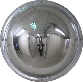 Bimex kogelspiegel 360° - 29cm  - polycarbonaat - SKG-V  