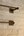 Dauby stang - Pure Plus - ruw brons - 1000 mm