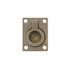 Intersteel luikring - rechthoekig - 50x39 mm - messing getrommeld