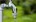 Gardena slangstuk - 13 mm (1/2") - 15 mm (5/8") - 18215-20
