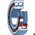 SKF Groefkogellager Tweerijig 4305 Atn9