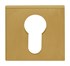 Formani BSQY53 BASICS cilinderplaatje pvd mat goud