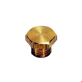 Legris - Plug met buitenzeskant - buitendraad - messing - 0200