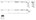 GU schaararm - Uni-jet M6 - 8 mm - FFB 501-750 mm - 6-40233-15-R-1