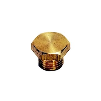 Legris - plug met buitenzeskant - 1/4" - BSPP - 0200 13 00