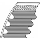 Contitech tandriem - 8M - 50 mm