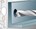 fischer veiligheidsanker - FH II 15/100 b - 46835