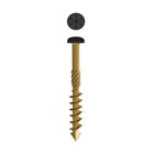 Dynaplus 0284.08 gevelschroeven - AR-BRONZE - cillinderkop - TX - zwart