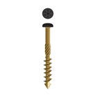 Dynaplus tuin-/gevelschroeven - AR-BRONZE - cillinderkop - TX - zwart - 0284.08 serie