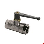Legris - Kogelkraan Mini - messing vernikkeld - 3/8" - binnen/binnen - DN10 - 0402.10.17