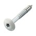 Hoenderdaal zuiver witte hpl schroef - RVS-A2 - TX-20 - 4.8x32mm