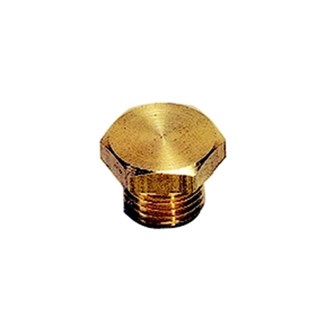 Legris - plug met buitenzeskant - 1/8" - BSPP - 0200 10 00