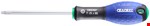 Expert schroevendraaier Resistorx T40x125 E165399 (L=241)