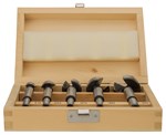 Makita Forstnerboorset 5-delig D-47363