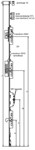 Habo raamespagnolet - 600 mm - 1 haak - 962SP-33