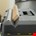 Stanley gereedschapskoffer - FatMax Heavy Duty - 1-93-935
