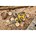 DEWALT DCM565P1-QW Compacte Accu Kettingzaag 30cm 18V XR - Inclusief 1x 5.0Ah Accu en Lader