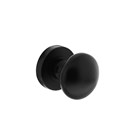 Intersteel knop met rozet - ø 52 x 10 mm - mat zwart