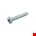 Hoenderdaal plaatschroef [200x] - VZ - cillinder kop - PH-2 - 4.2x19mm