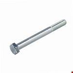 Hoenderdaal zeskantbout [50x] - VZ - SW-17 - M10x110mm