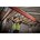DEWALT DCD791P2-QW Boor-/Schroefmachine 18V XR - Inclusief 2x 5.0Ah Accu, Lader en Koffer