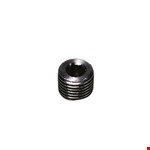 Legris - plug met binnenzeskant - 1/4" - BSPT - 0206 13 00