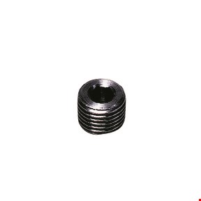 Legris - plug met binnenzeskant - 1/4" - BSPT - 0206 13 00