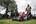 Milwaukee M18 F2LM53-122 Grasmaaier met loopondersteuning