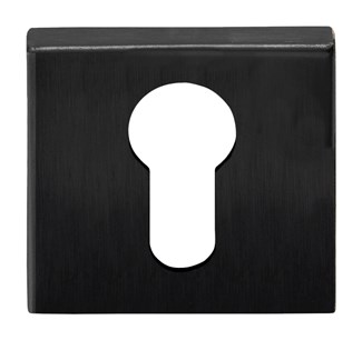 Formani BSQY53 BASICS cilinderplaatje pvd gunmetal
