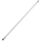 Philips TL-lamp - 36W - 1200 mm - koel-wit - kleur-840